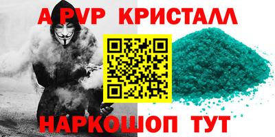 молекула духа Тверь