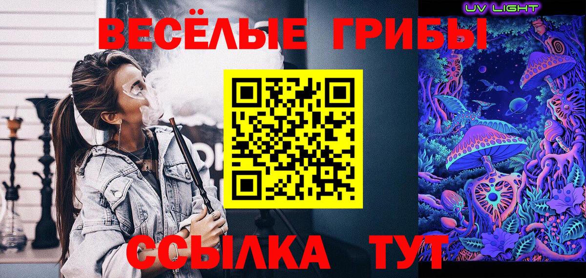 Прохладный  Псилоцибиновые грибы мухоморы  Вход с VPN 