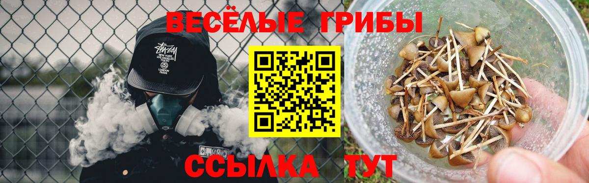 Галлюциногенные грибы Magic Shrooms Прохладный